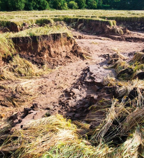 Relief for agricultural sector Vuk'uzenzele